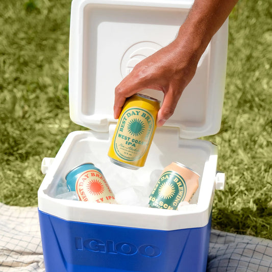 Best Day Brewing | West Coast IPA | 6-pack