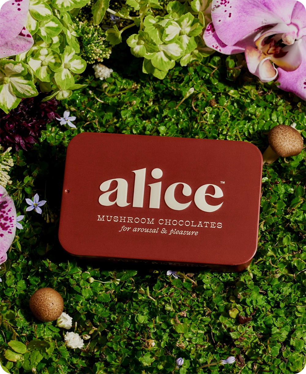 Alice | Happy Ending (Mushroom Chocolate For Arousal)
