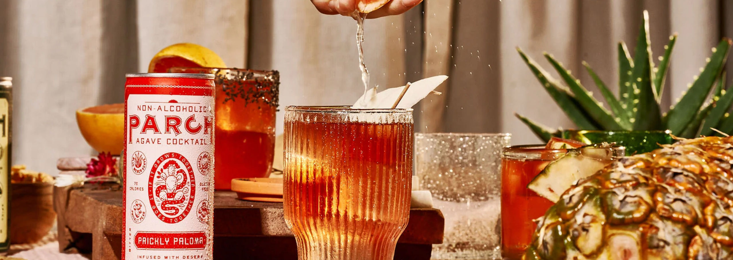 Parch | Prickly Paloma