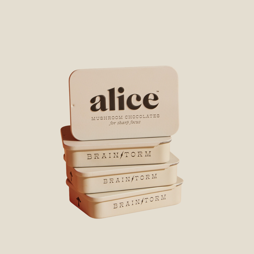 Alice | Brainstorm (Mushroom Chocolates For Focus)