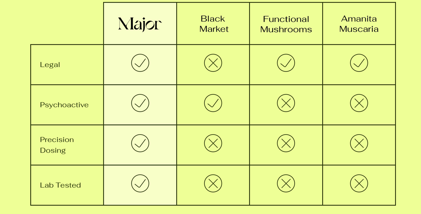 Major | Elderberry "Magic" Mushroom Gummies