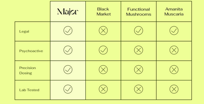 Major | Elderberry "Magic" Mushroom Gummies