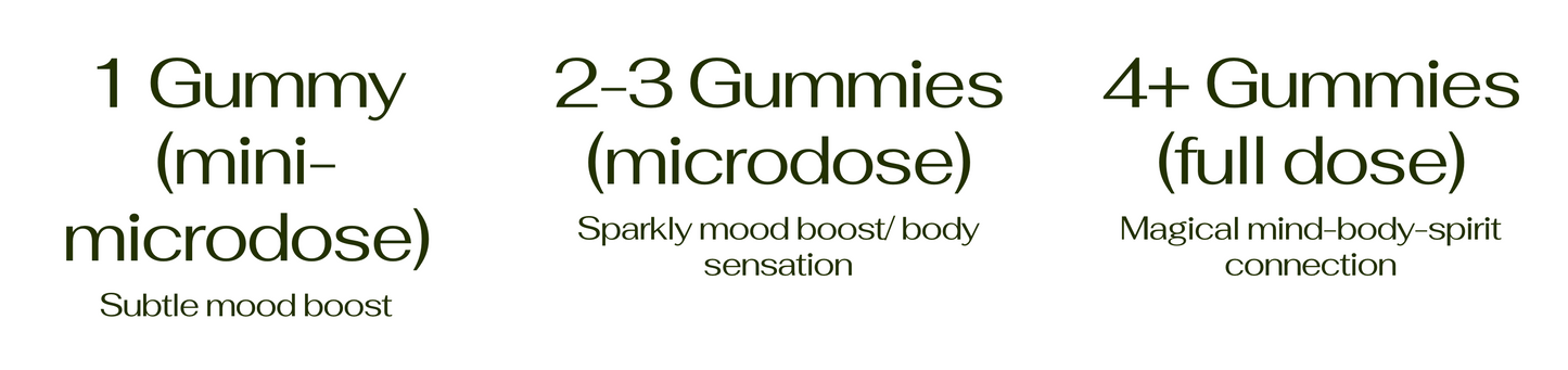 Major | Elderberry "Magic" Mushroom Gummies