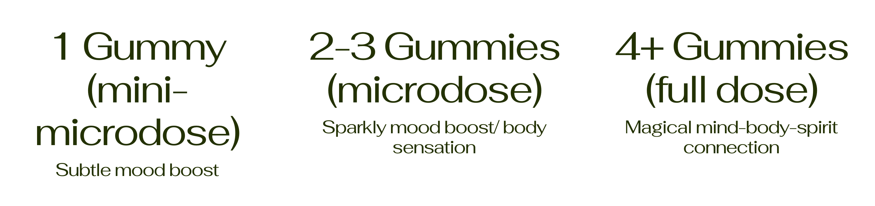 Major | Elderberry "Magic" Mushroom Gummies-zoom-4