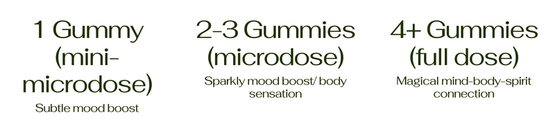 Major | Elderberry "Magic" Mushroom Gummies-zoom-