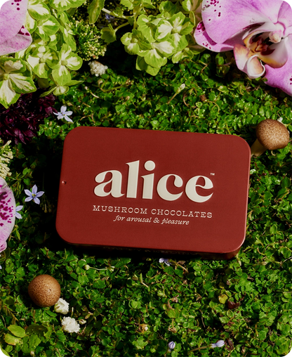 Alice | Happy Ending (Mushroom Chocolate For Arousal)