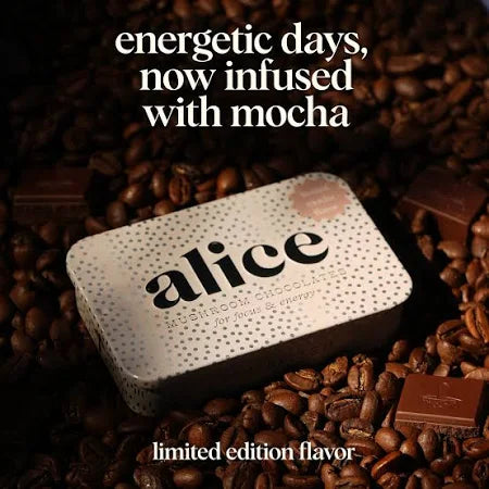 Alice | Brainstorm (Mushroom Chocolates For Focus)